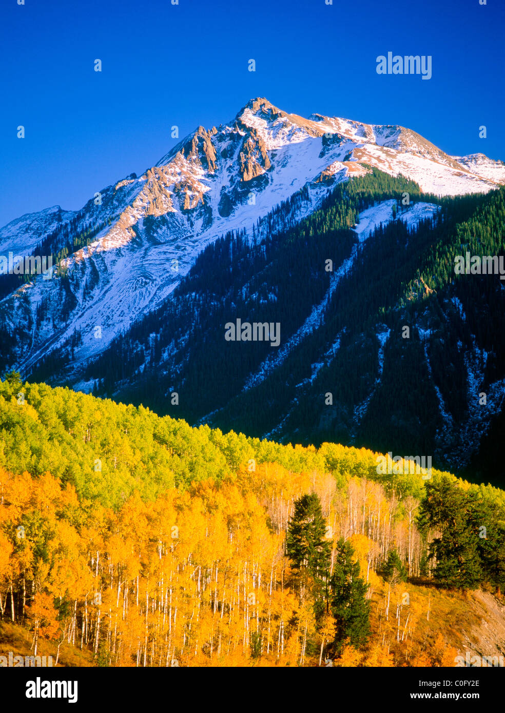 Sheep Mountain Fall Colors National Forest Colorado USA
