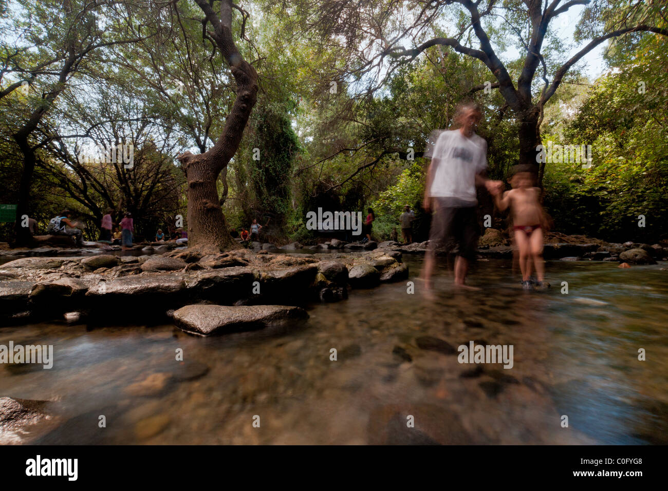 Banyas Spring, Israel. People walking in a shallow pool Stock Photo