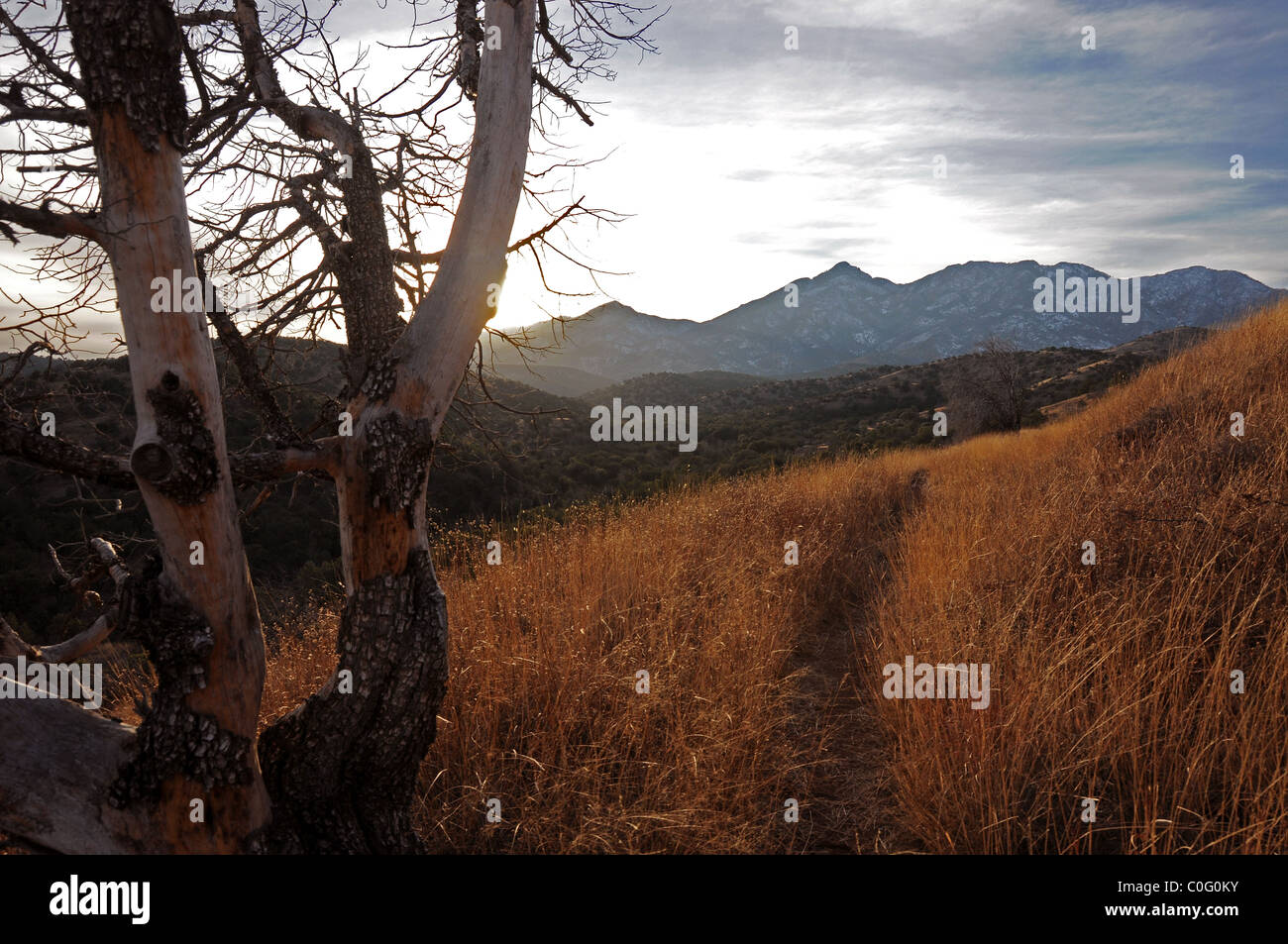 The Arizona Trail winds north of Sonoita, Arizona, USA. Mount Wrightson in the Santa Rita Mountains is in the background. Stock Photo