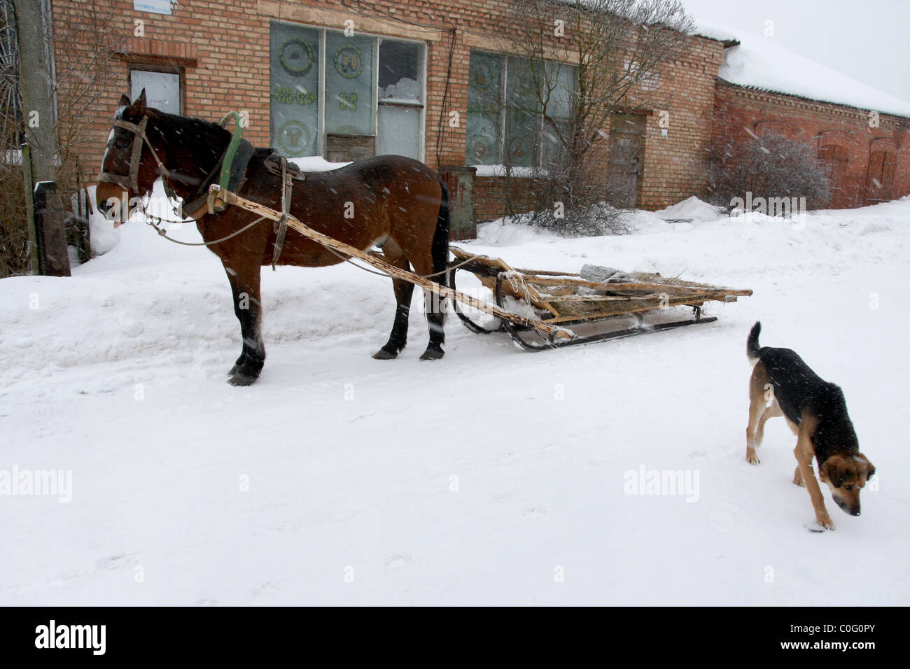 Old horse harness hi-res stock photography and images - Alamy