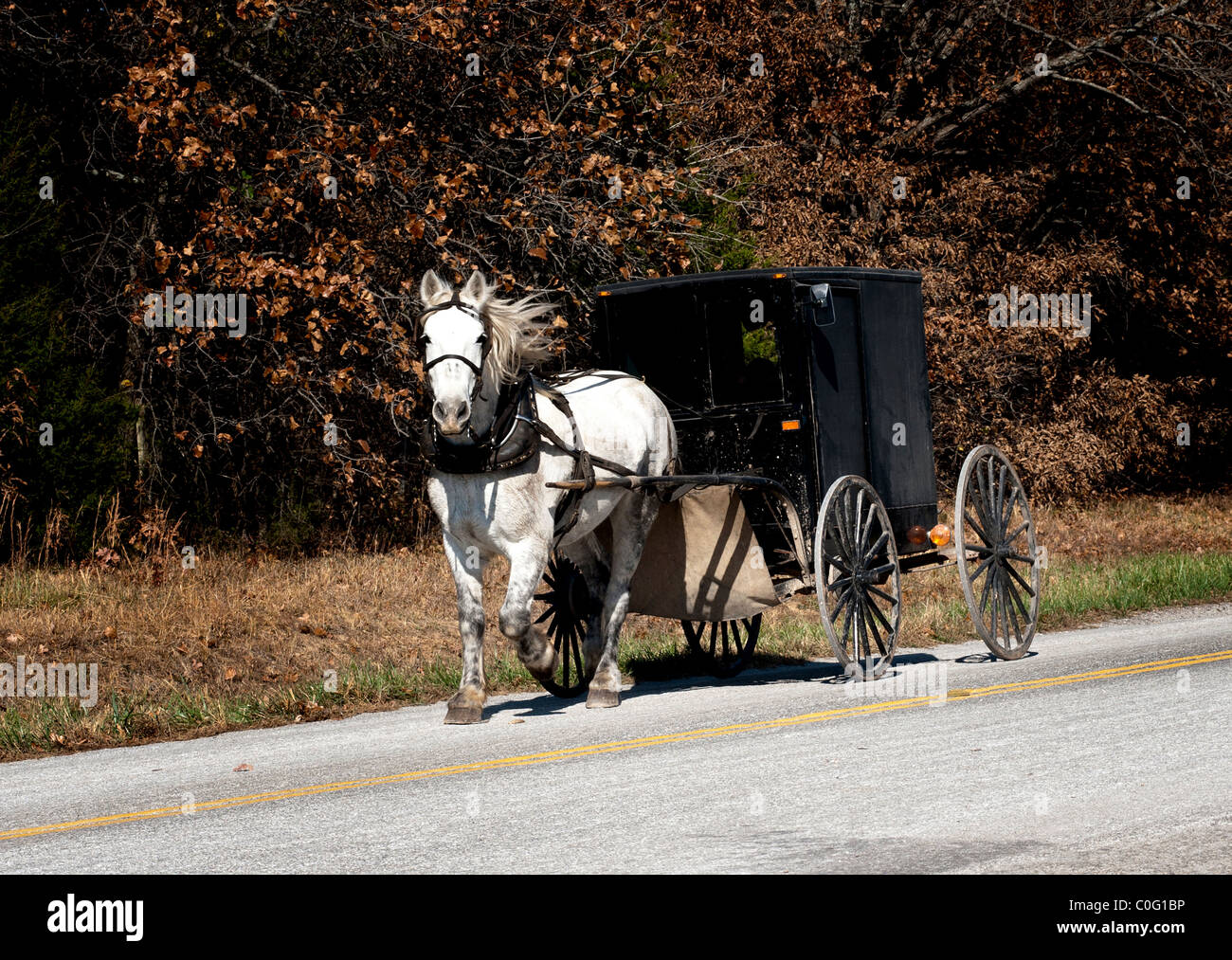 Amish buggy, Ozarks region of Missouri Stock Photo Alamy