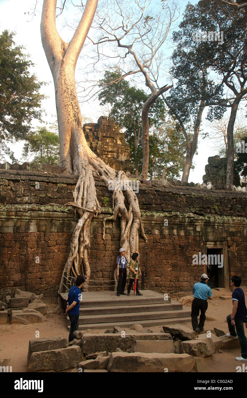 Tourists pose for photos in the ruins of the Ta Prom Buddhist Temple at Angkor Wat complex, Cambodia. Stock Photo