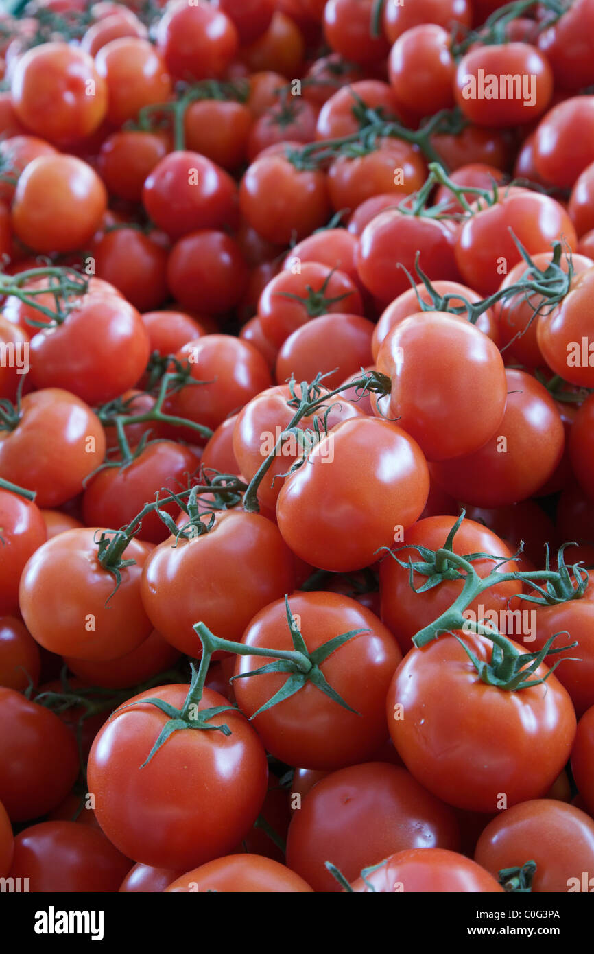 Pile of green Vine tomatoes at a farmers Market in a vertical position ...
