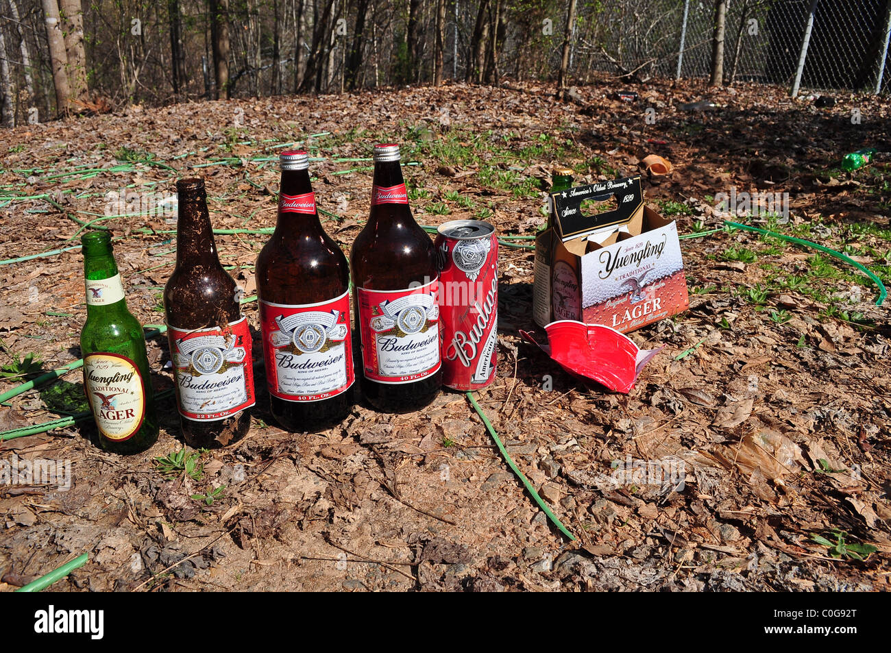 Beer bottles and cans left outside after a party Stock Photo Alamy