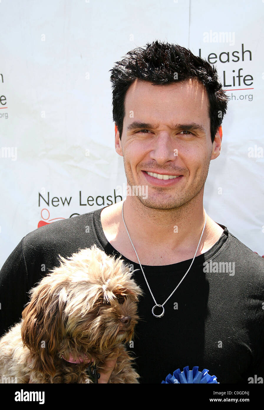 Antonio Sabato at the 7th annual Nuts for Mutts Dog Show and Pet Fair to benefit New Leash on Life Los Angeles, California - Stock Photo