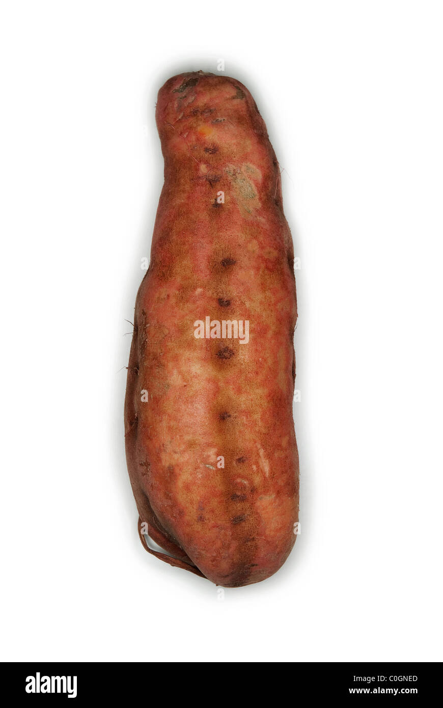 Sweet potato on white background Stock Photo