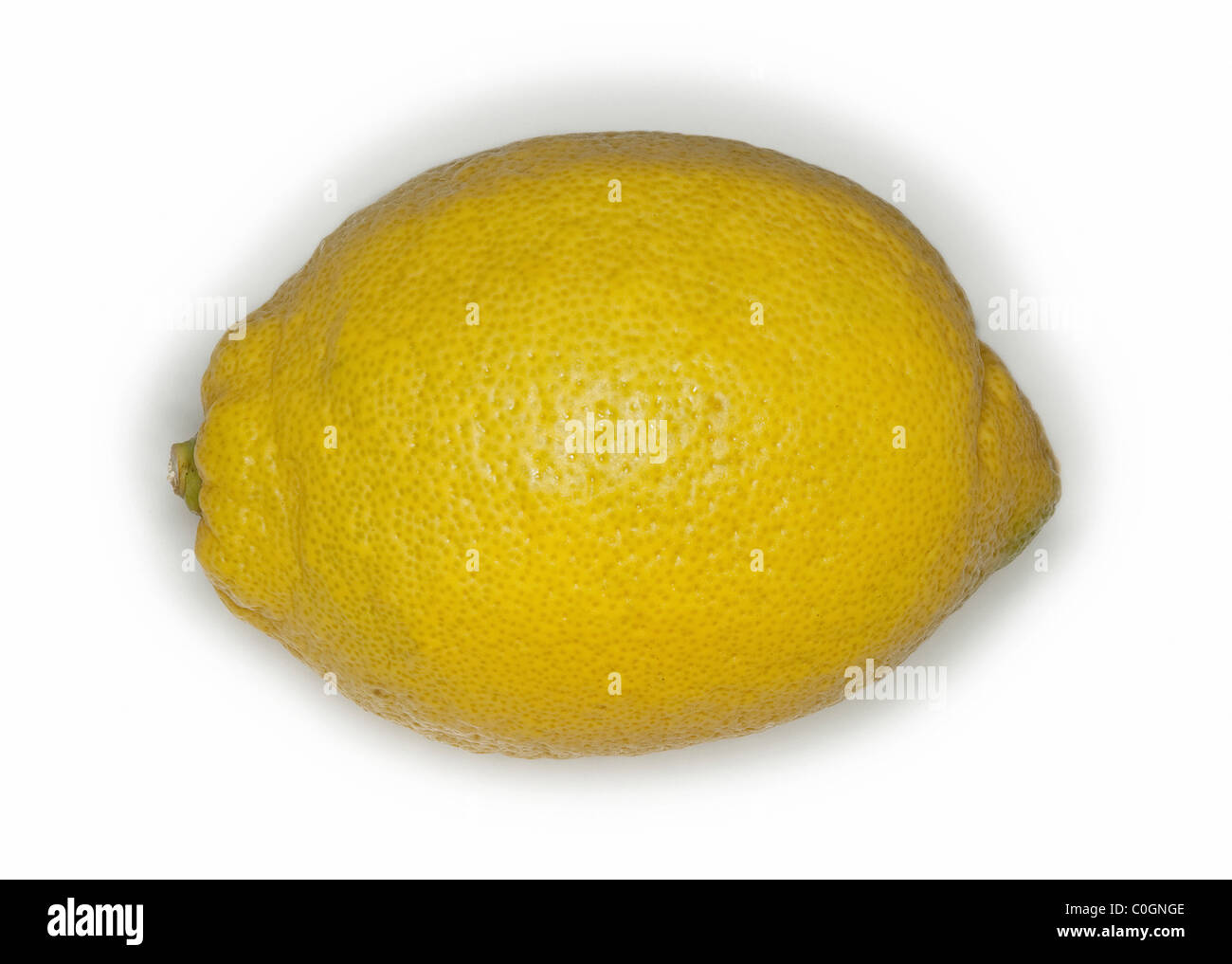 Lemon fruit on white background Stock Photo