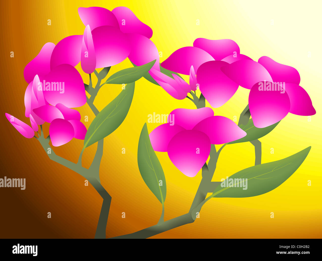 Digital paintings of flowers in a yellow background. The artist shows the stunning beauty of the flo Stock Photo