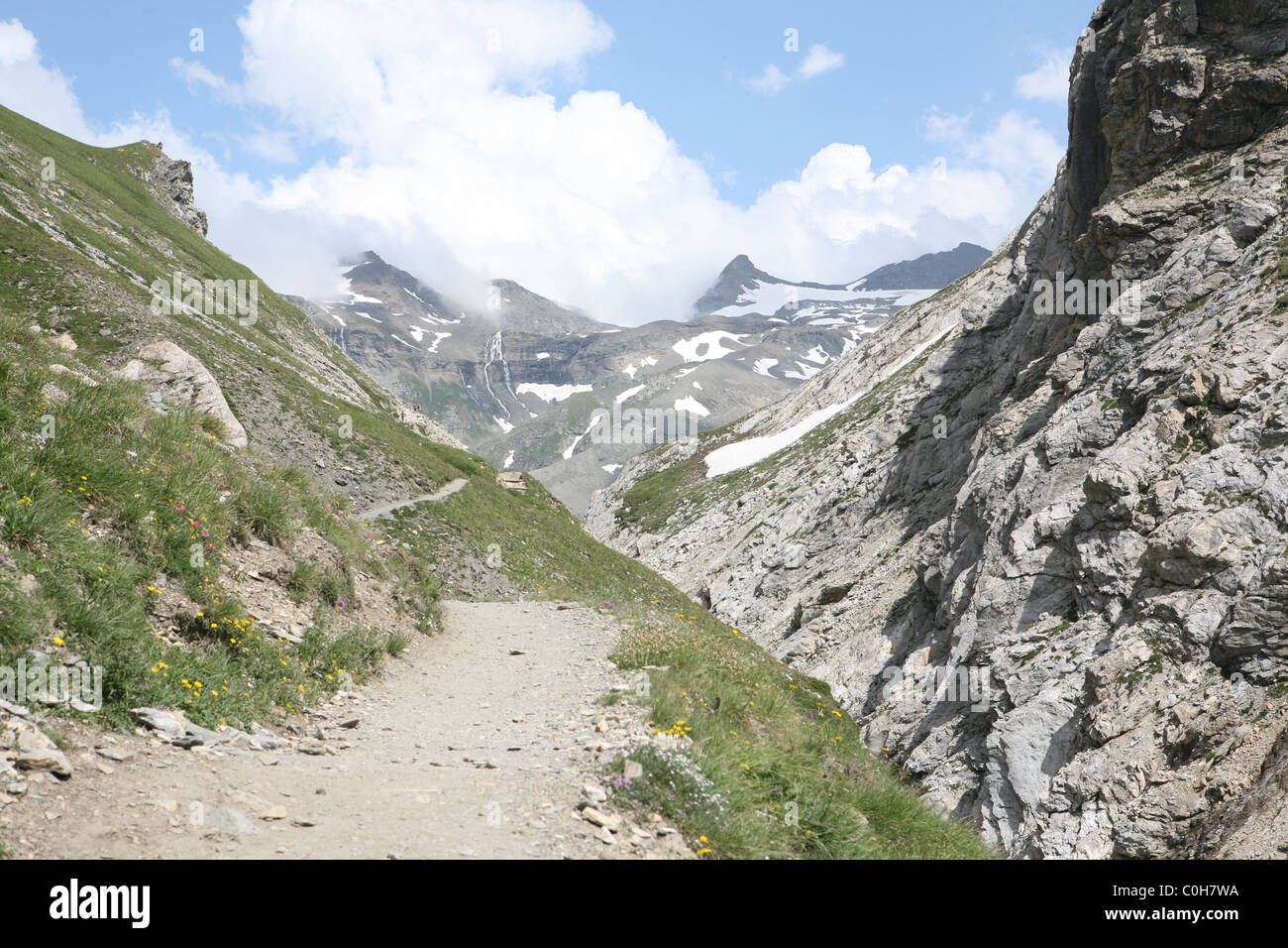 The Alps in the Summer Stock Photo - Alamy