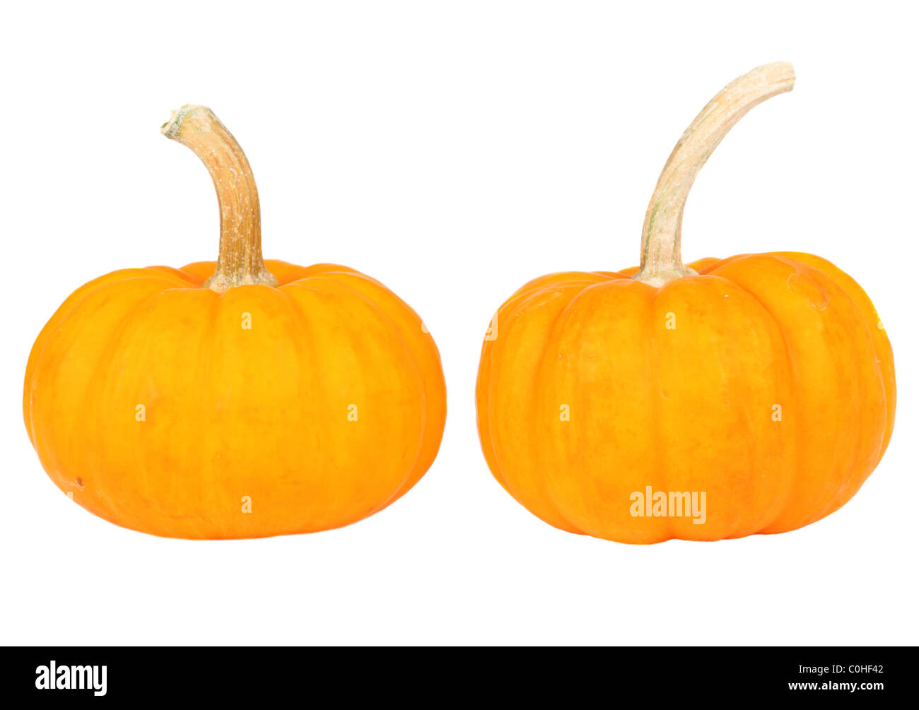 Two small pumpkins studio isolated on white Stock Photo - Alamy