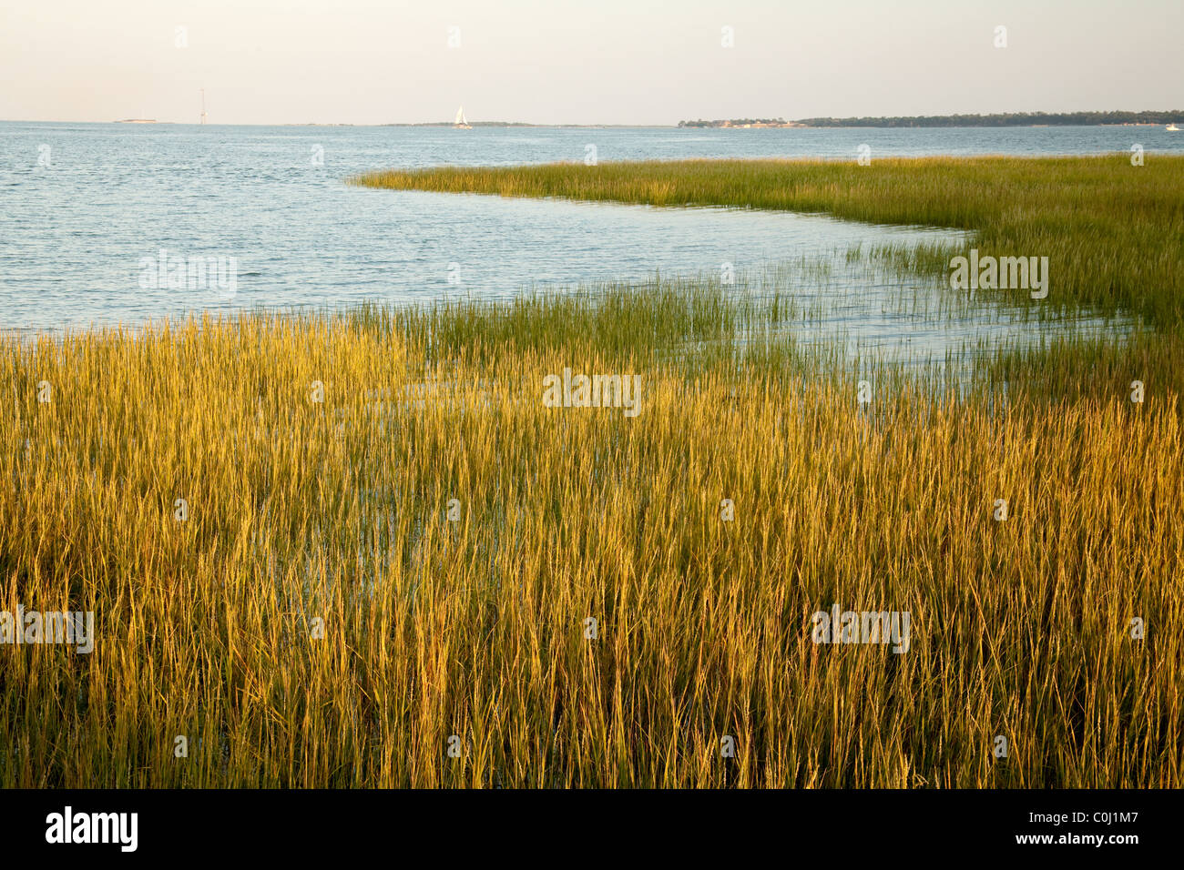 Cooper river hi-res stock photography and images - Alamy