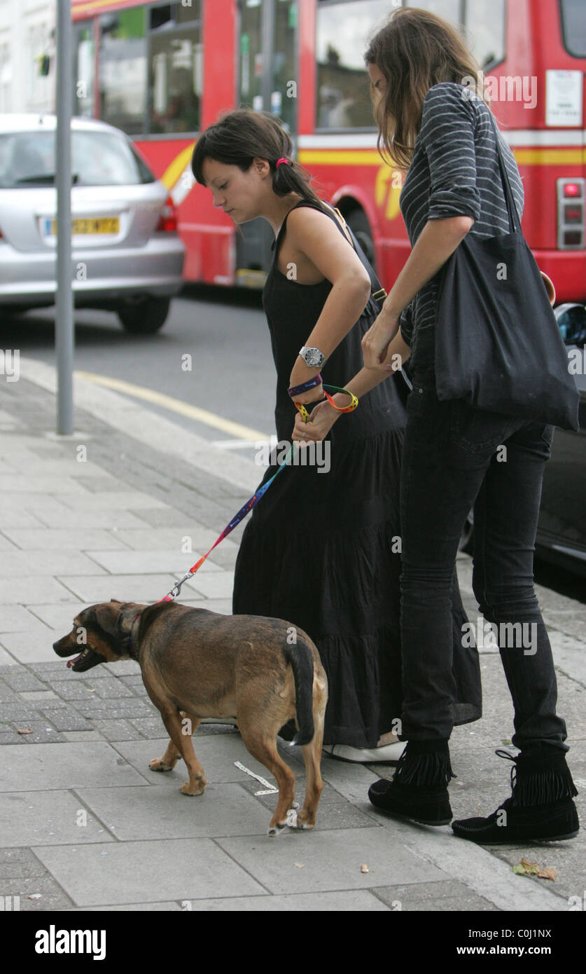 Lily Allen Arriving home with her new dog she picked up from Battersea Dogs  home earlier today London, England - 08.07.08 Stock Photo - Alamy