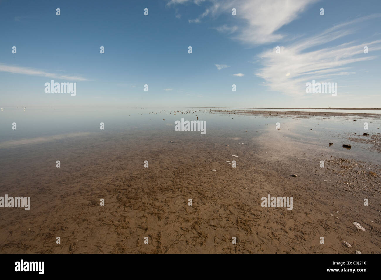 Sky, clouds reflected on the calm, shallow surface of the Laguna Madre