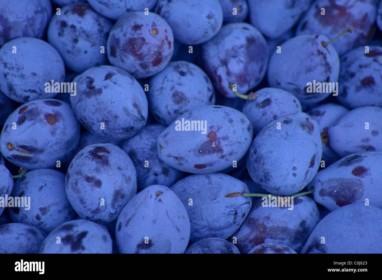 Local grown ripe plums for sale at a street vegetable and fruit stall