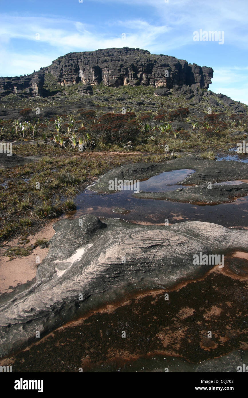 The summit (El Carro) of Mount Roraima (Tepui) in Venezuela Stock Photo