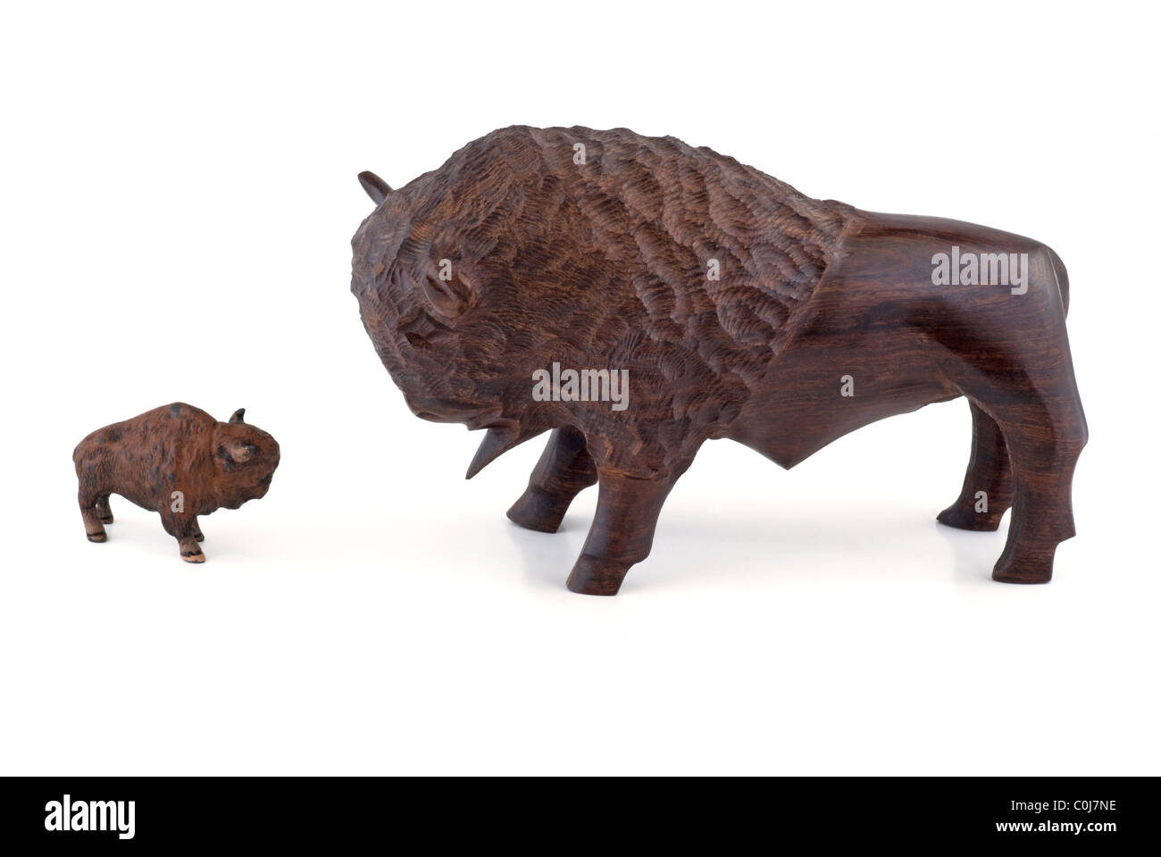 Two bulls ready to charge each other. Small versus large. Small large comparison. Stock Photo