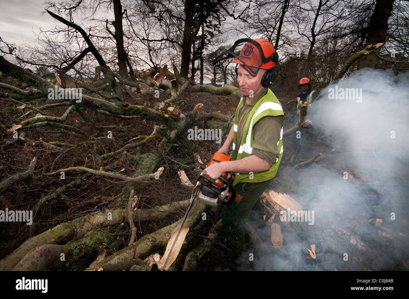 Wood cutters in the North of England working Stock Photo