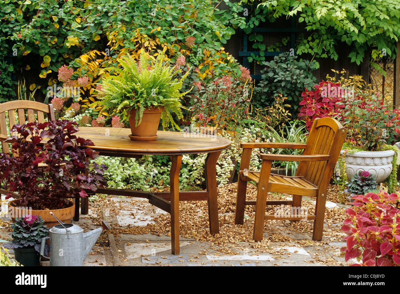 CEDAR TABLE AND CHAIRS IN FALL GARDEN WITH POTTED FERN AND COLEUS