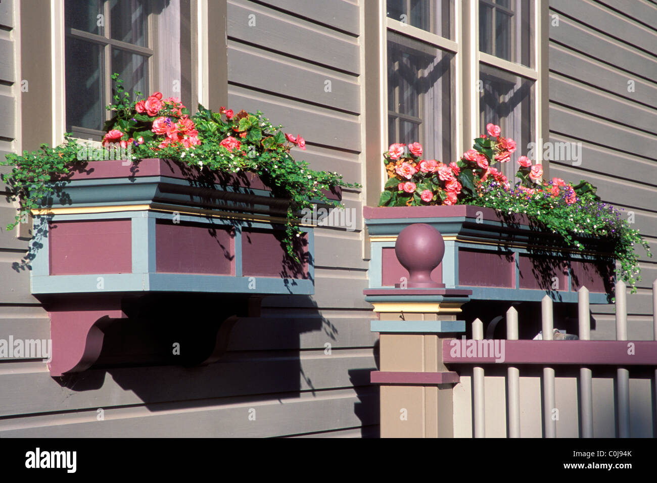WINDOW BOXES FULL OF BEGONIAS ON VICTORIAN HOME IN MINNESOTA.  SUMMER.  AMERICA. Stock Photo