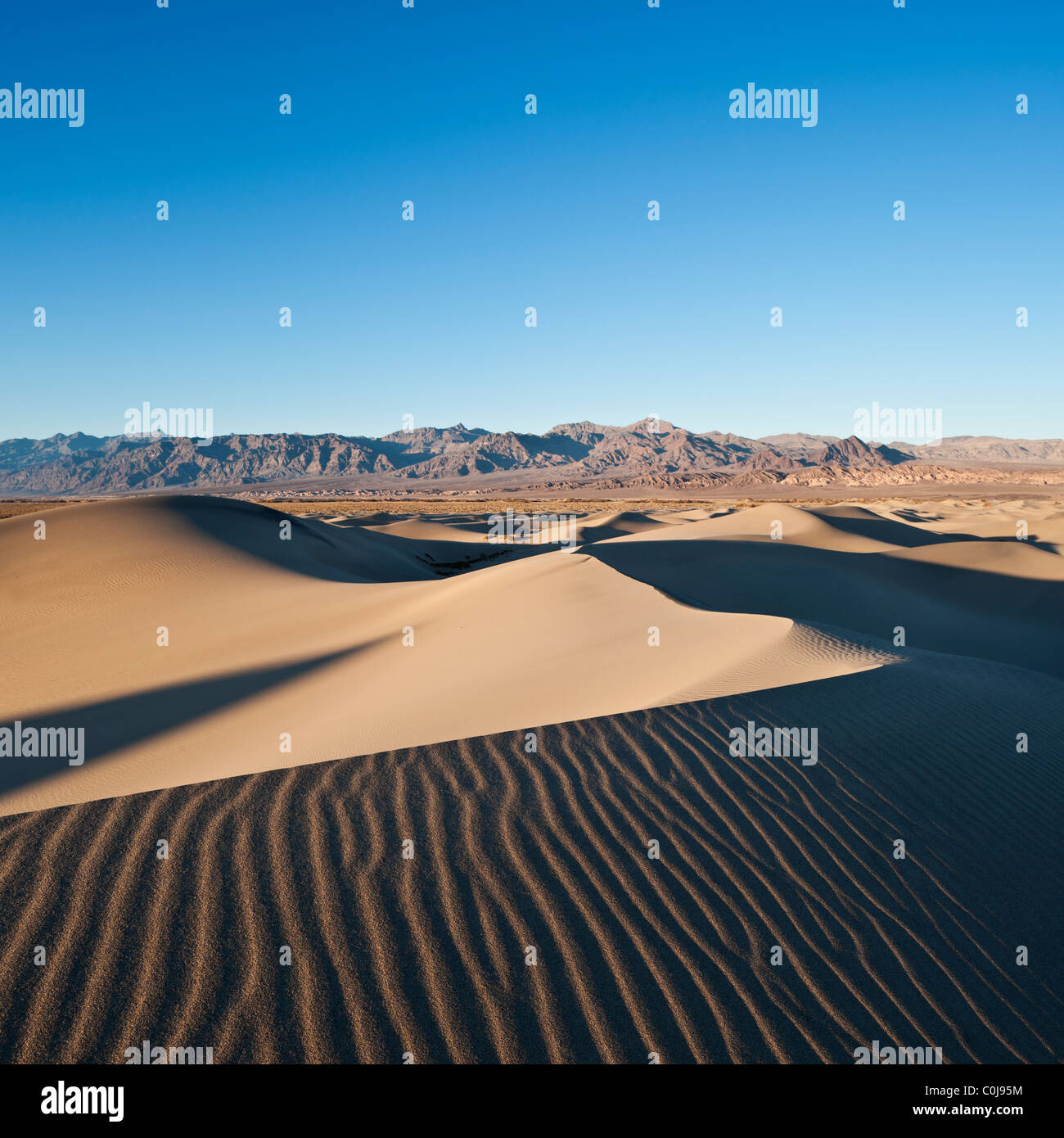 Mesquite Flat sand dunes, Stovepipe Wells, Death Valley national park ...