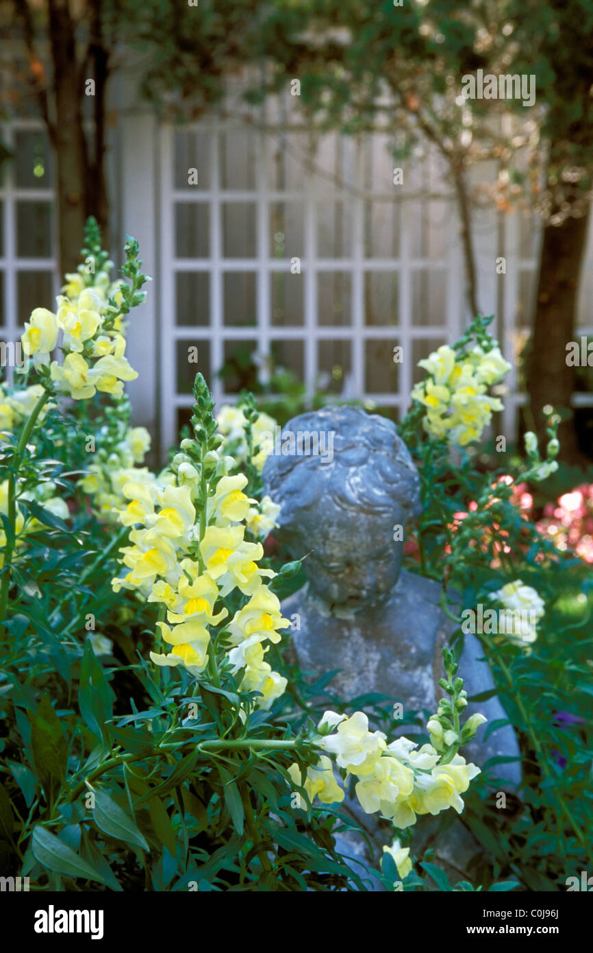 YELLOW AND WHITE SNAPDRAGONS SURROUND 1920'S STATUE IN A MINNESOTA HOME GARDEN. SUMMER. Stock Photo