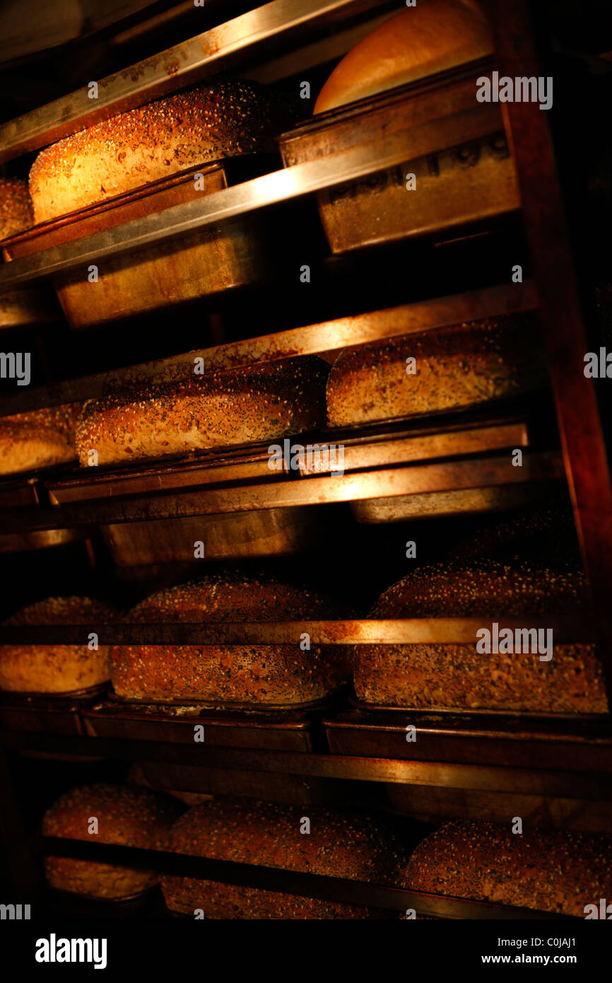 Loaves of bread oven hires stock photography and images Alamy