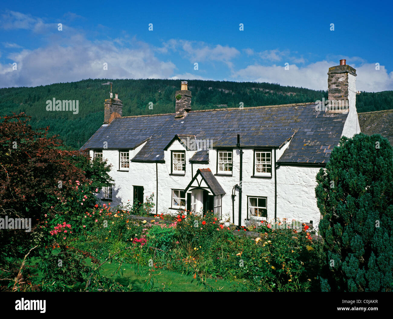 Cottage in Snowdonia near Betws-y-Coed, Gwynwdd, North Wales Stock Photo