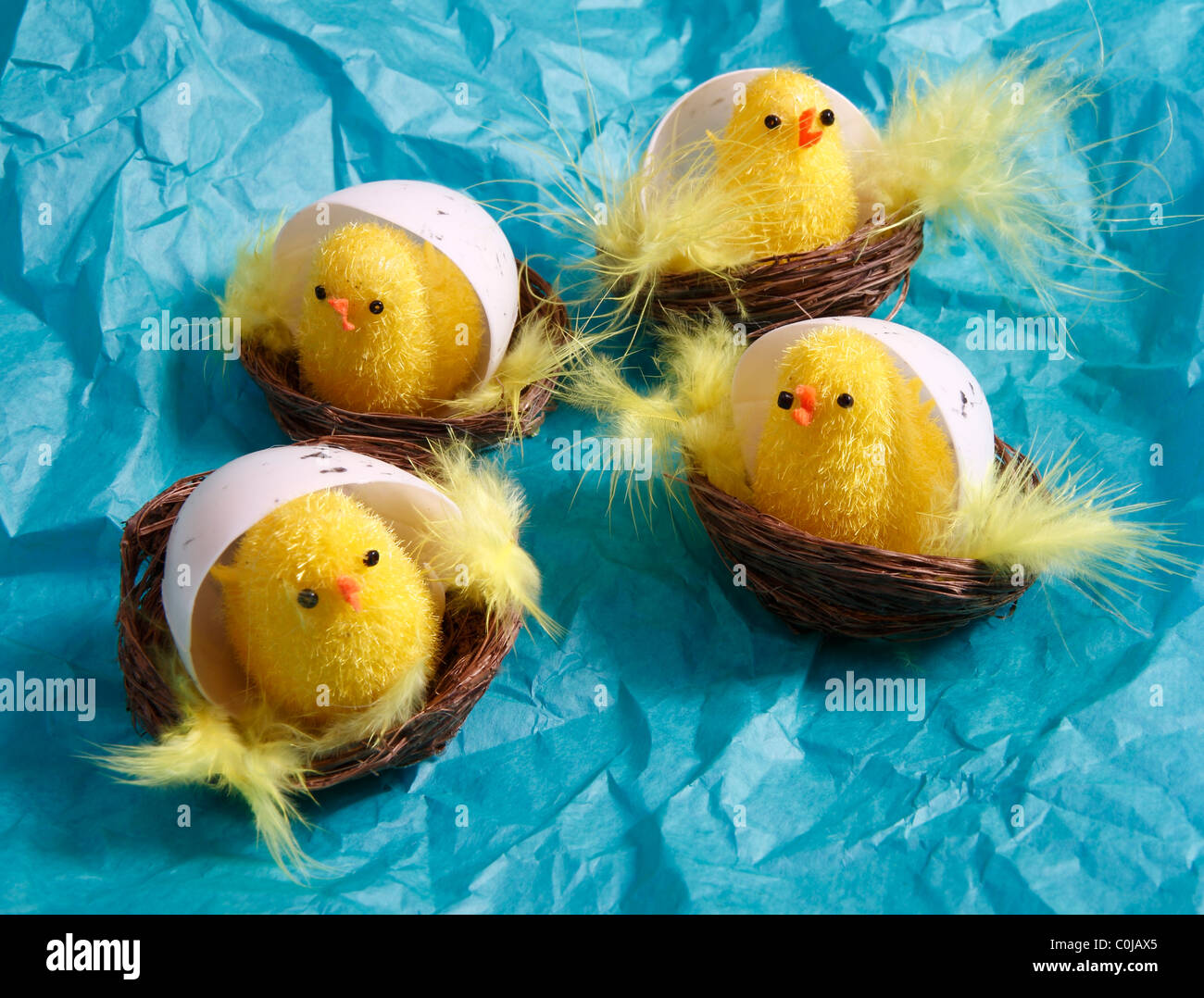 Four cute Easter Chicks in their Egg Shells Stock Photo
