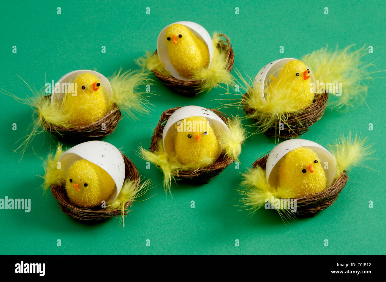 Six cute Easter Chicks in their Egg Shells Stock Photo