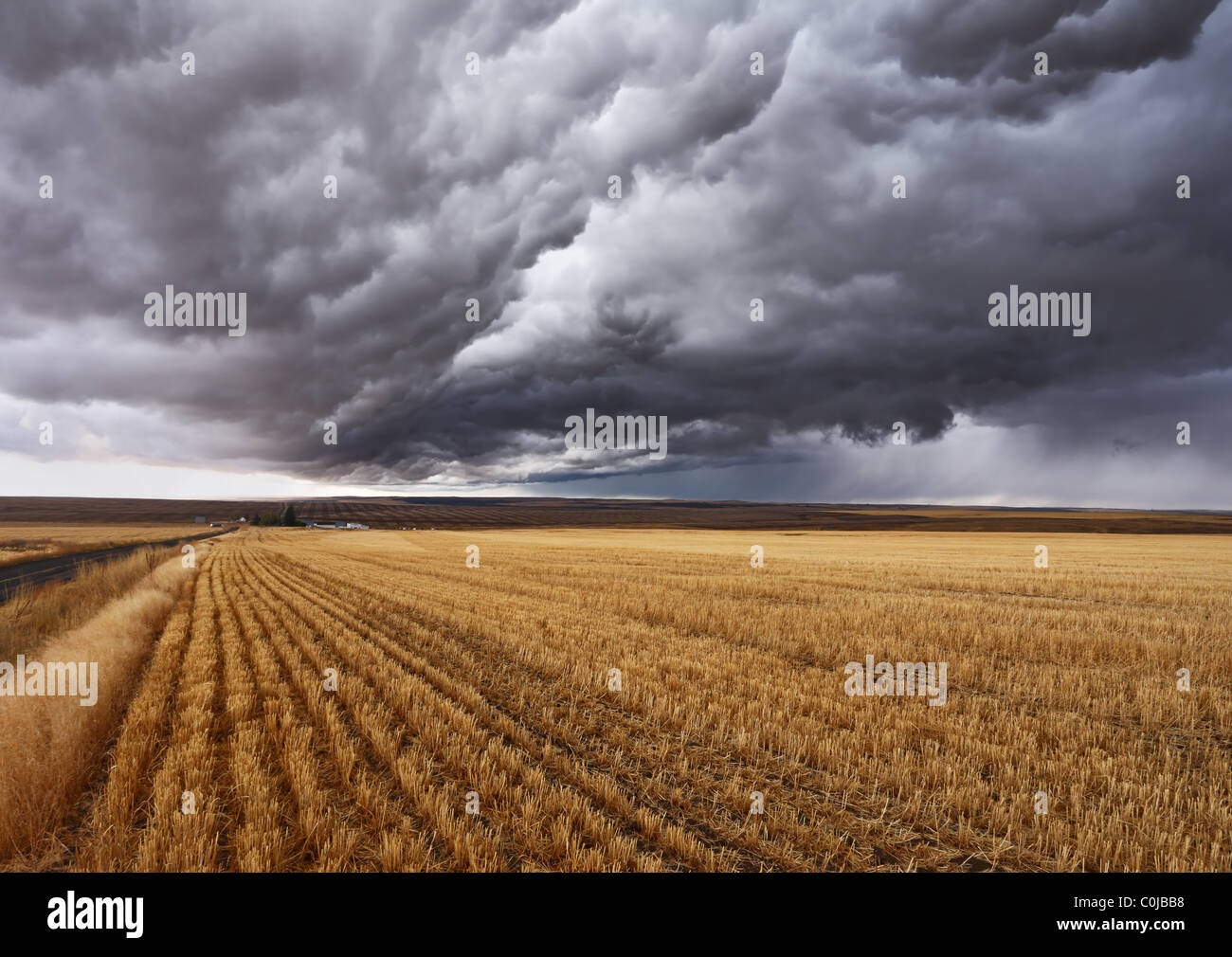 Thunderclouds above fields after harvesting Stock Photo