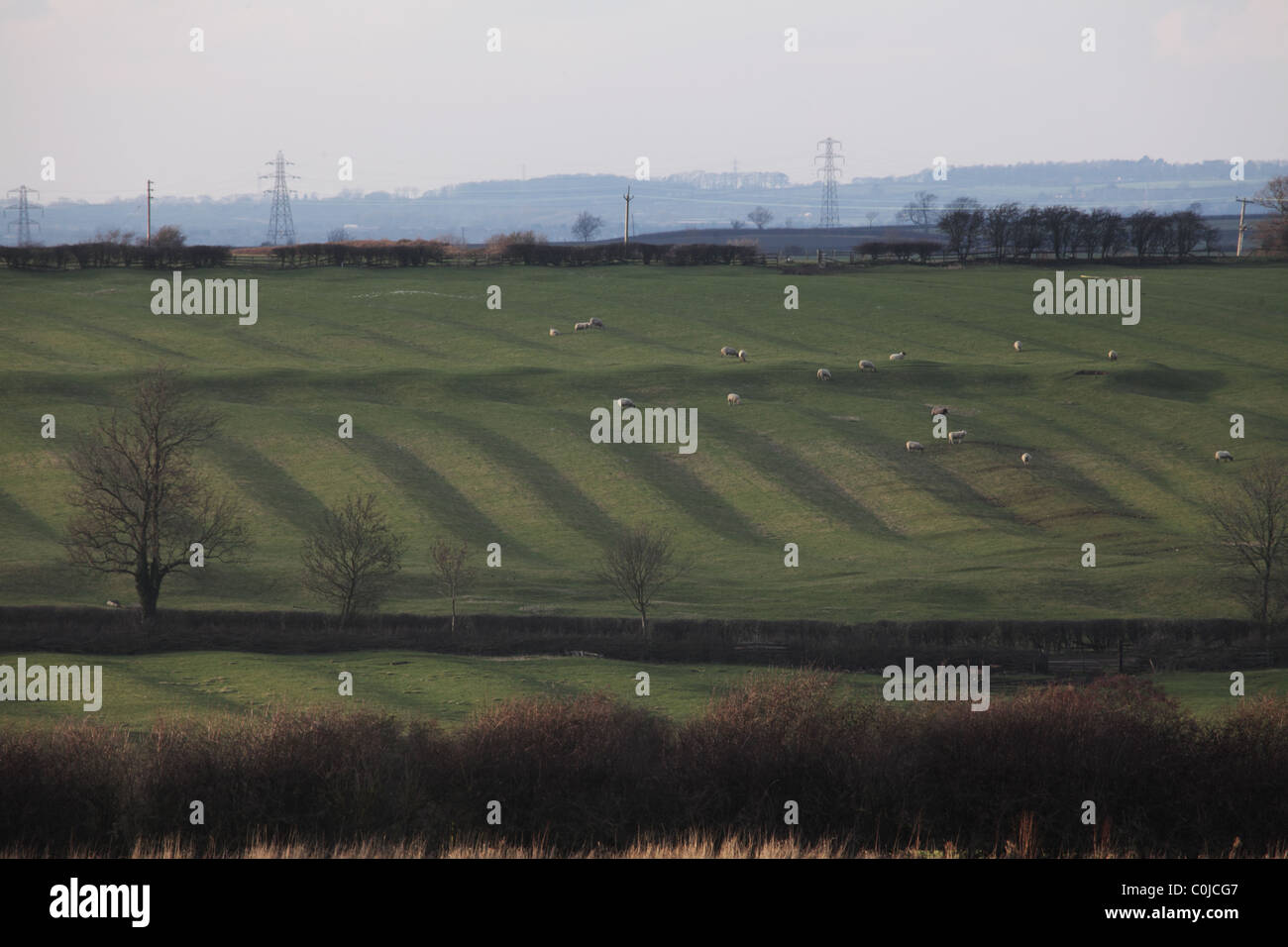 Evidence of medieval ridge and furrow farming in a field near Whissendine in Rutland, England Stock Photo