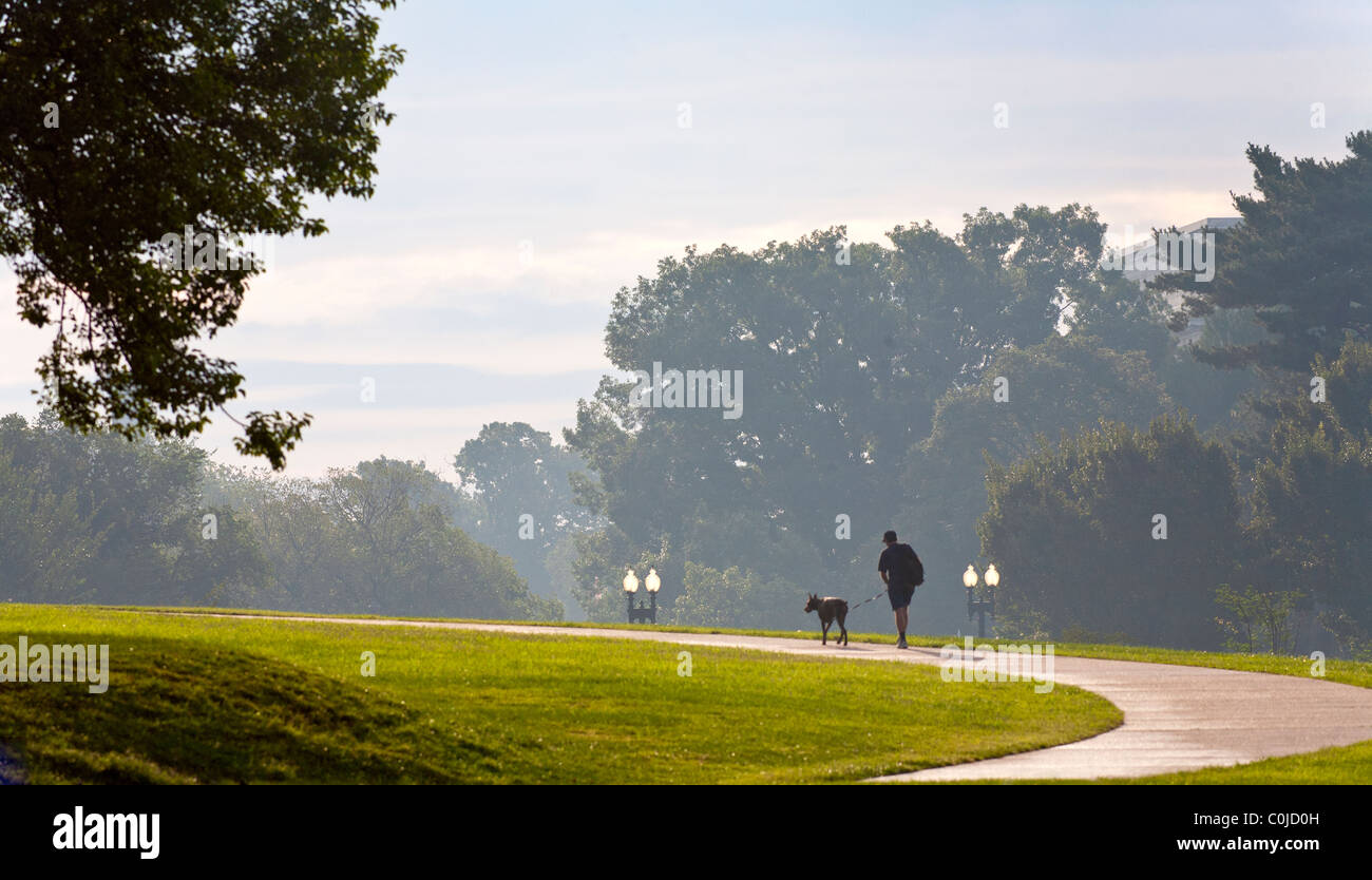 Early morning stroll with dog and owner. Stock Photo
