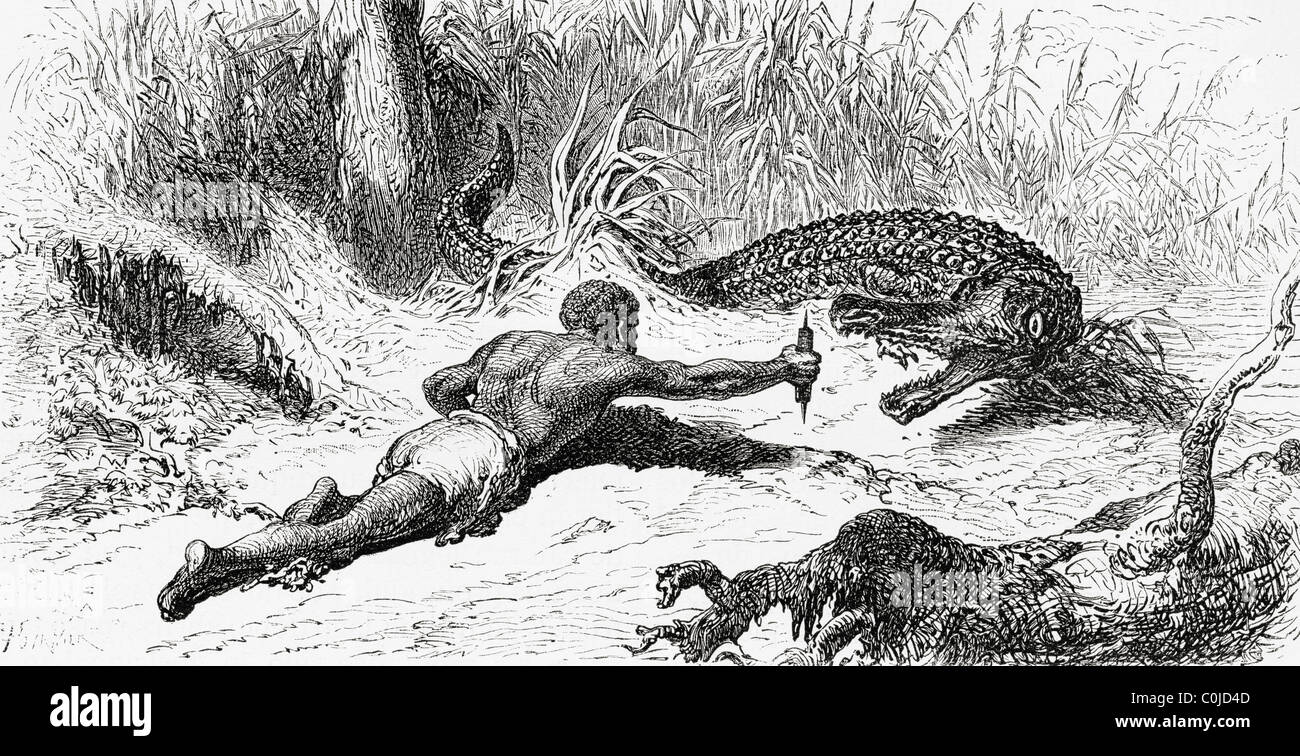 Alligator hunting in 19th century Colombia Stock Photo Alamy