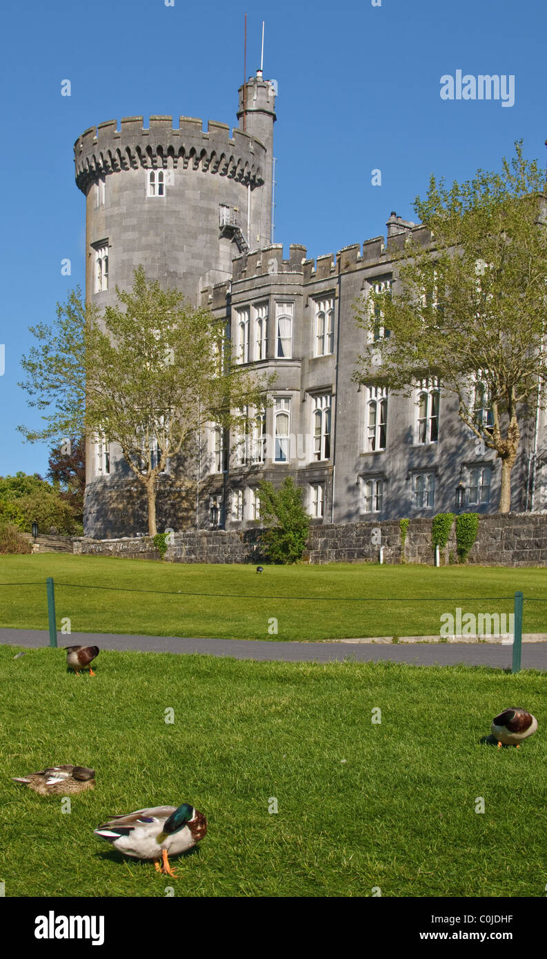 irish castle sunny day ducks Stock Photo