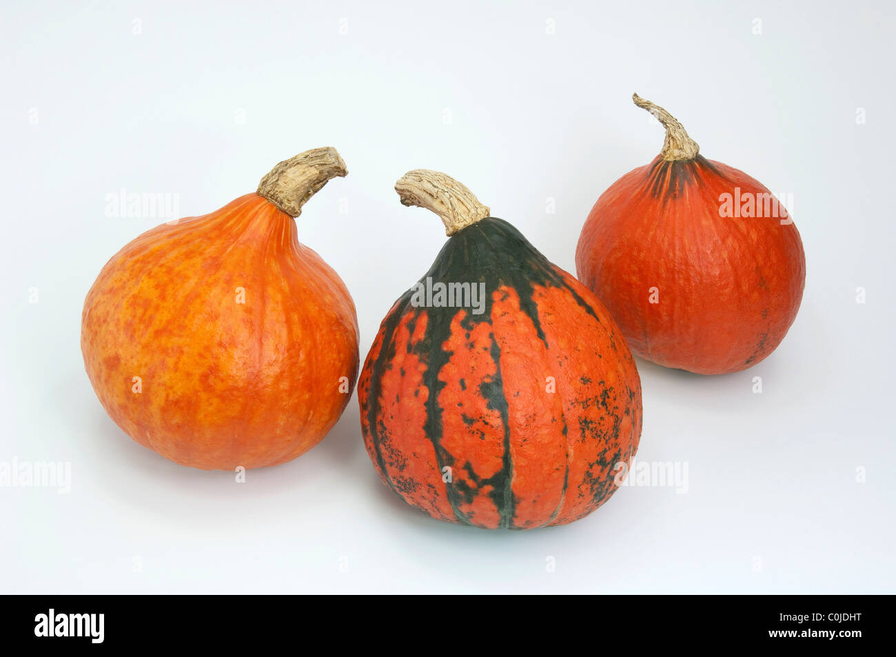 Red Kuri Squash (Cucurbita maxima Uchiki Kuri), three fruit, studio picture. Stock Photo