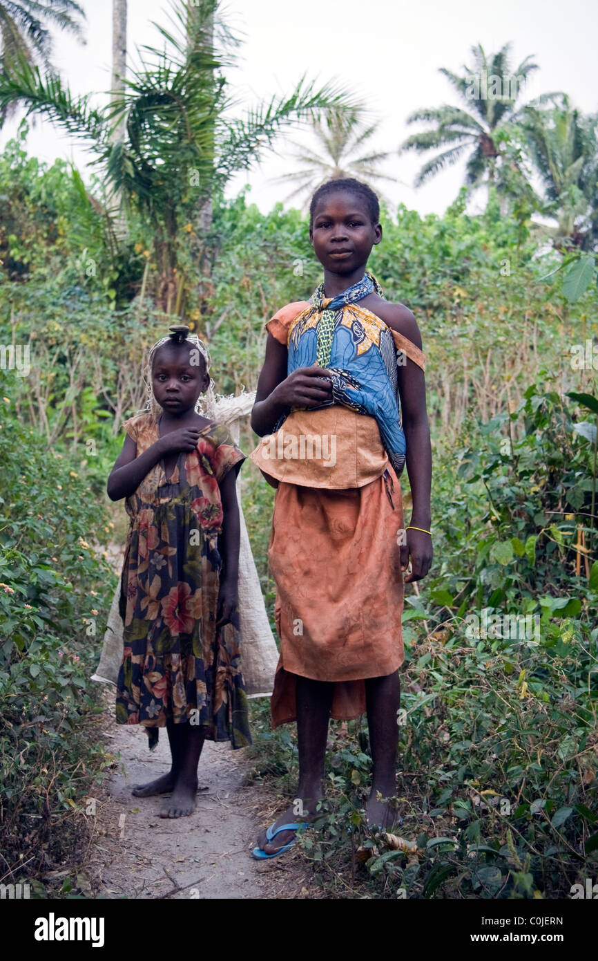women in the forest,Republic of the Congo Stock Photo Alamy
