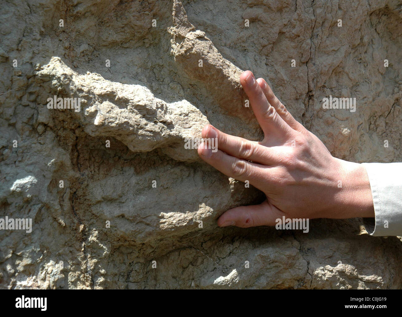CHINA'S BIGGEST DINOSAUR FOSSIL UNEARTHED A gigantic dinosaur footprint has been found in China