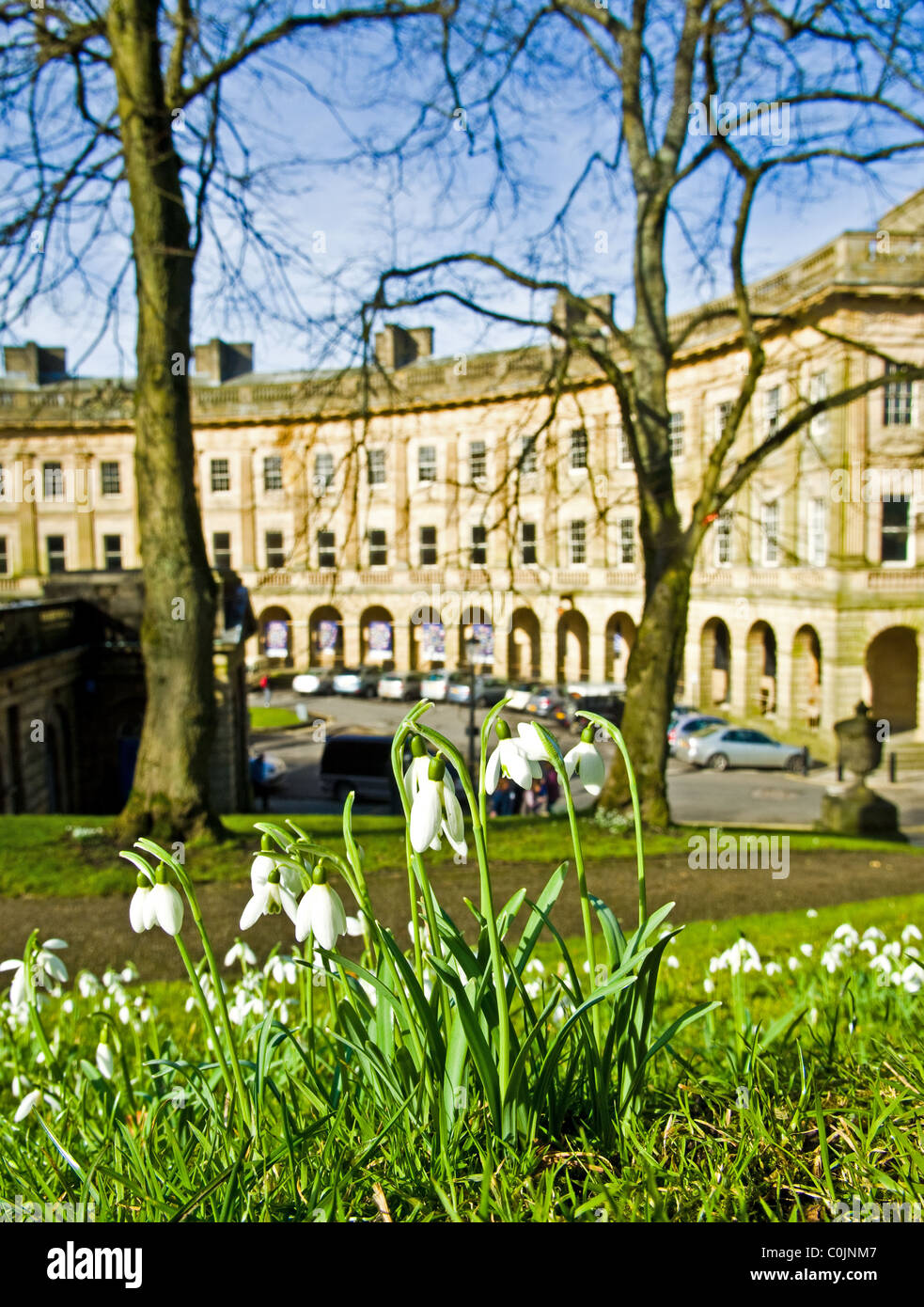 Flowering Snowdrops in front of The Crescent. A Georgian style building in Buxton, Derbyshire, England. Stock Photo
