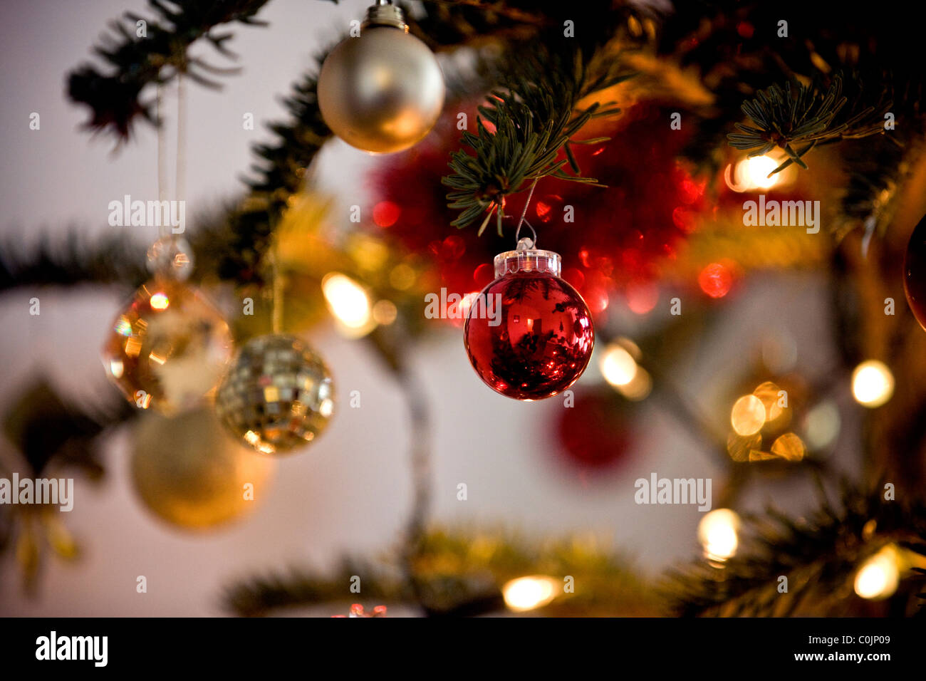 Red and gold baubles hanging on a Christmas tree Stock Photo