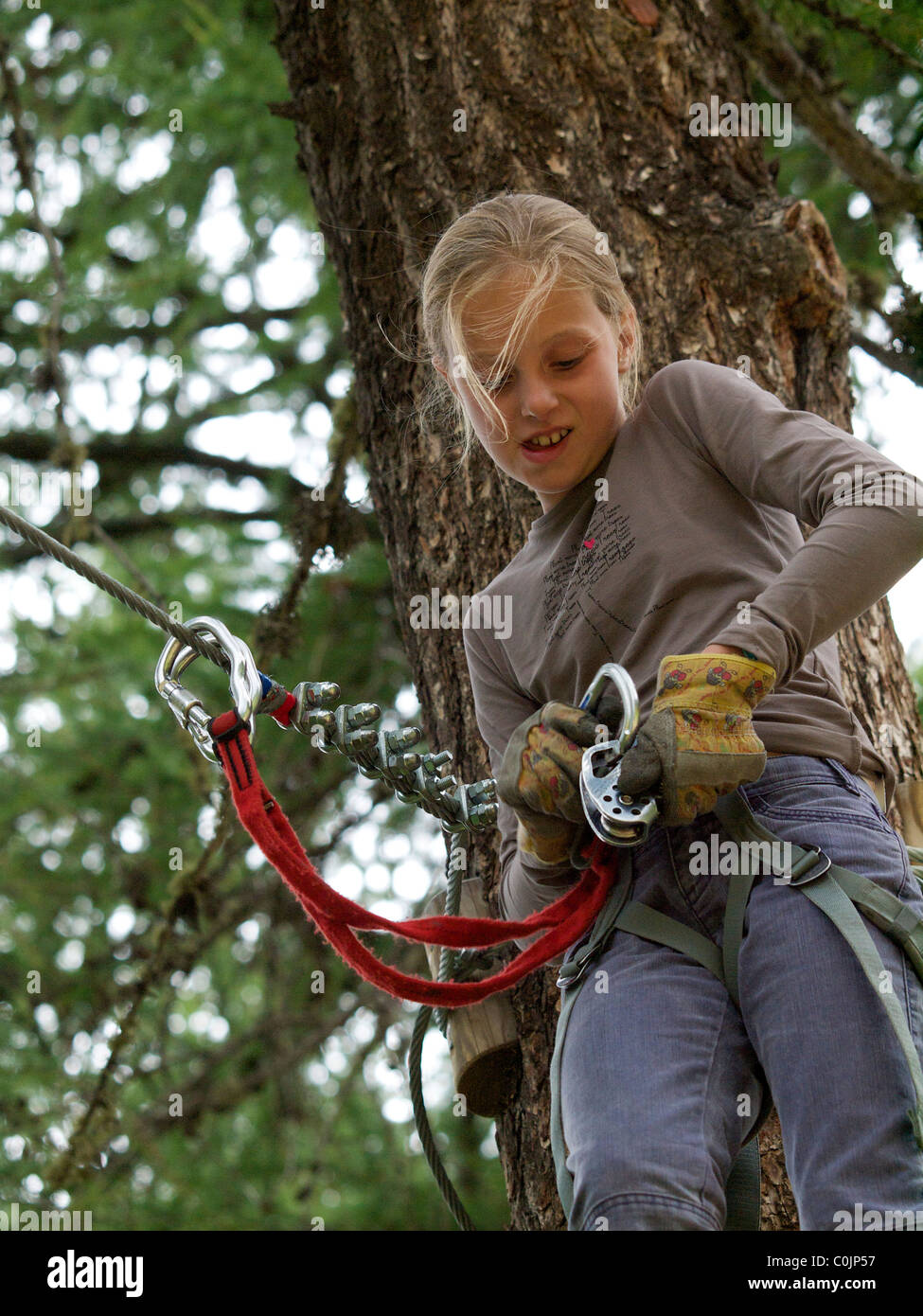Girl 10 years old, securing herself with two cables in climbing park Les Orres, French Alps, France Stock Photo