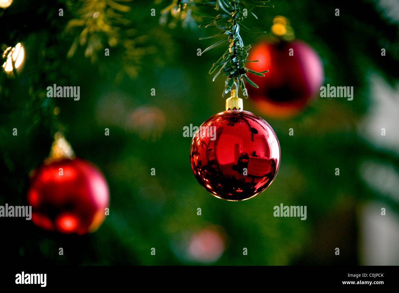 Red baubles hanging on a Christmas tree Stock Photo