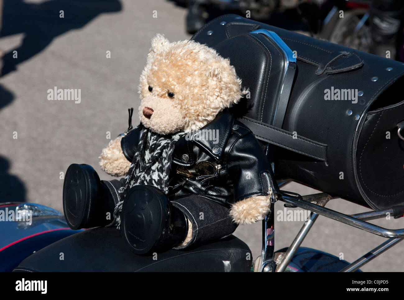 motorbike teddy