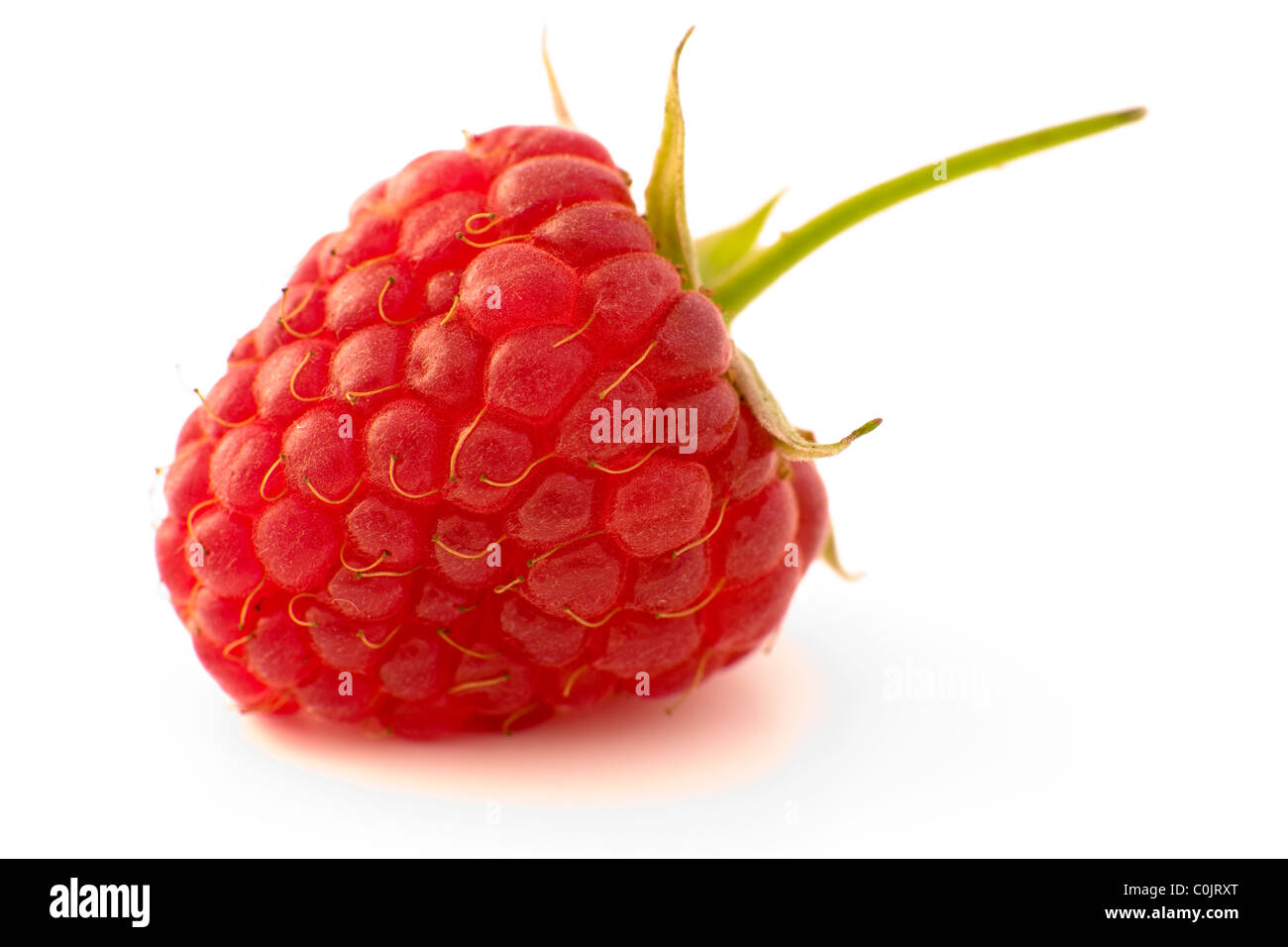 Stem Inside Raspberry Raspberry fruit with stem and leaves Stock Photo - Alamy