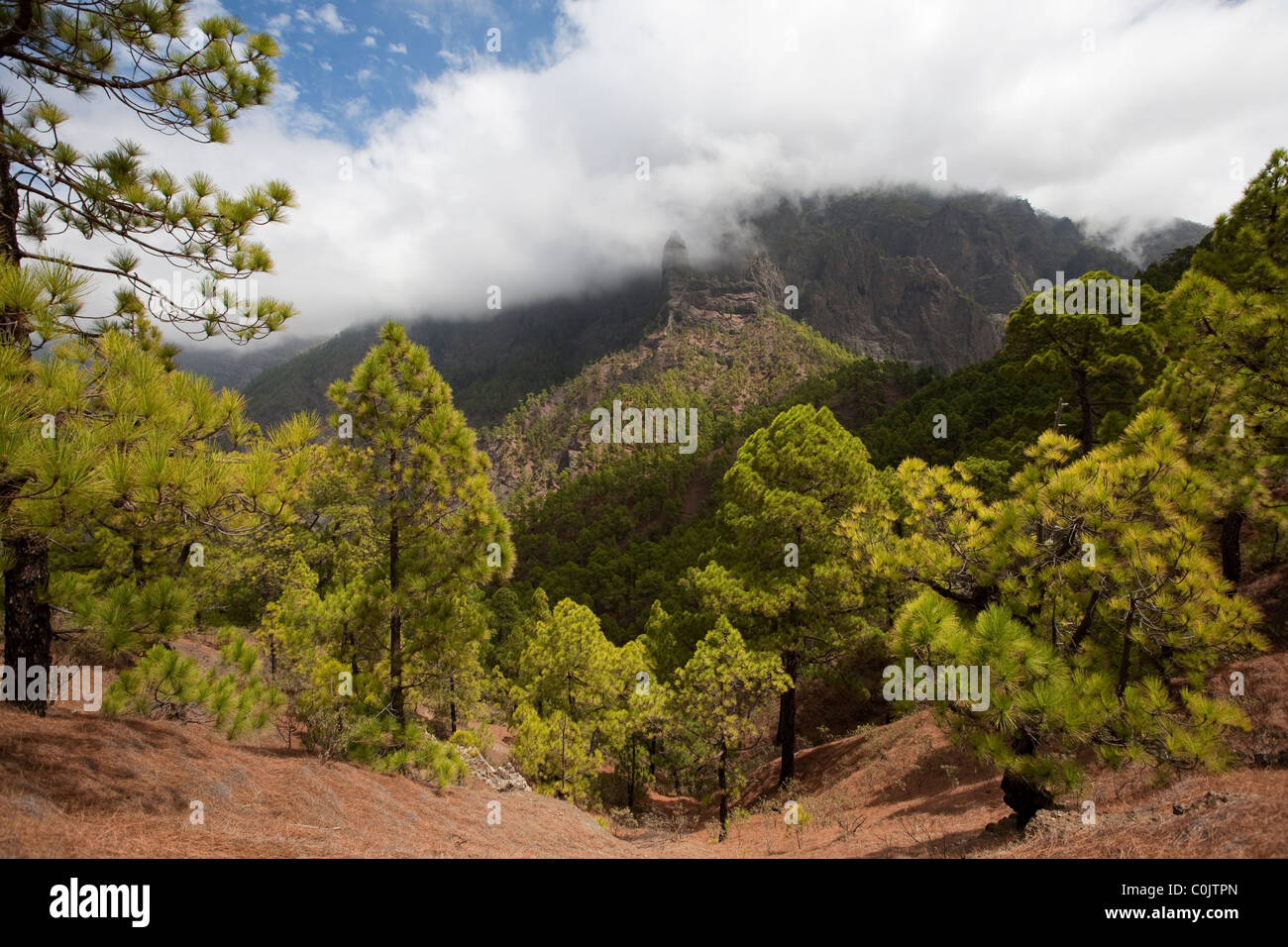 Caldera de Taburiente National Park La Palma Stock Photo
