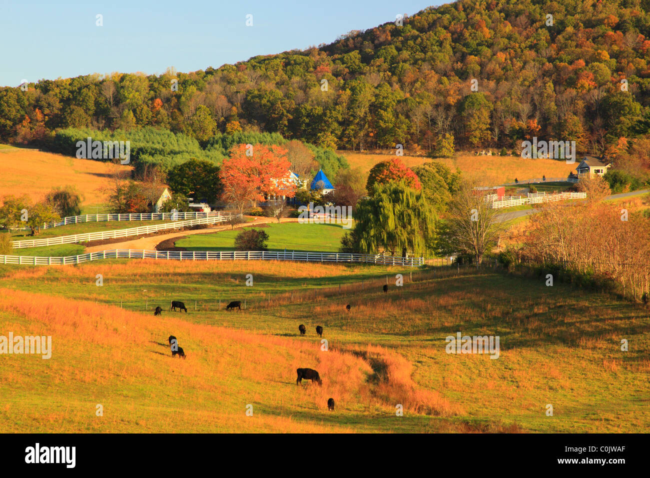 Farm in Brownsburg, Shenandoah Valley, Virginia Stock Photo Alamy