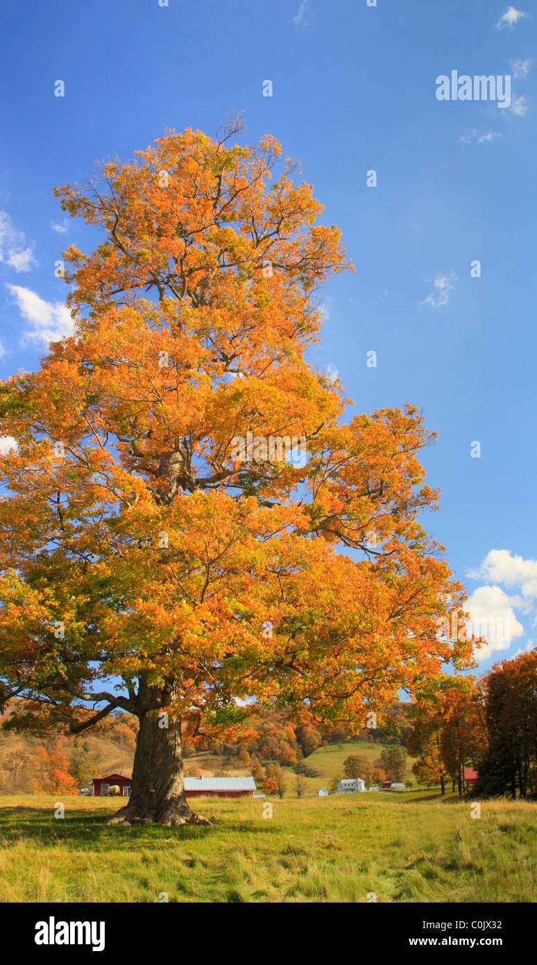 Western Highland County, Virginia Stock Photo Alamy