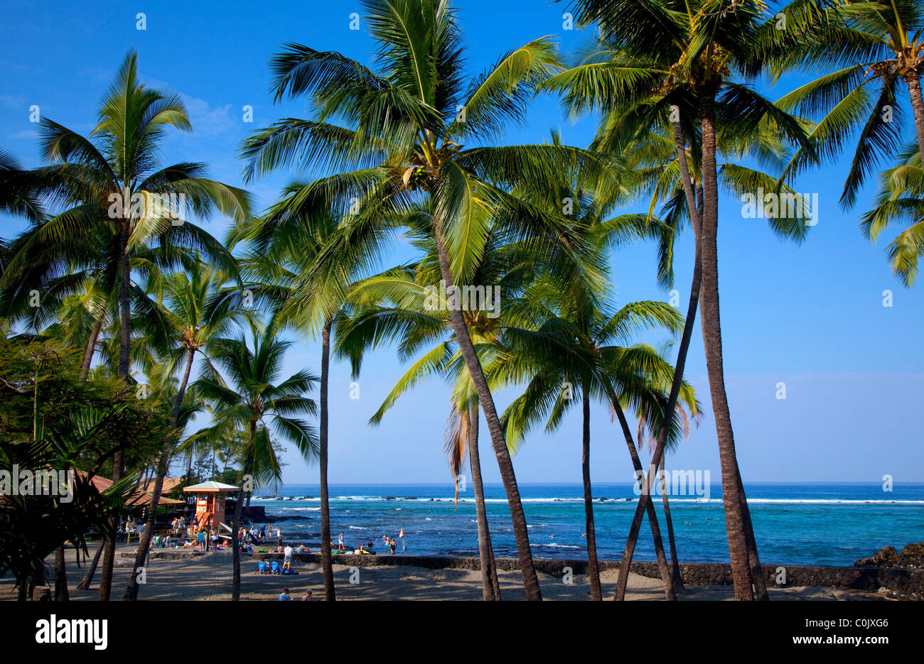 Kahalu'u Beach Park, Kailua Kona, Island of Hawaii, Hawaii Stock Photo