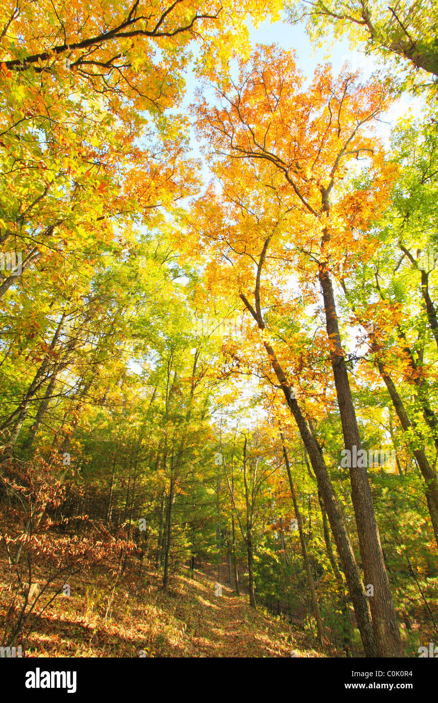 Shenandoah Mountain Trail, West Augusta, Virginia, USA Stock Photo Alamy