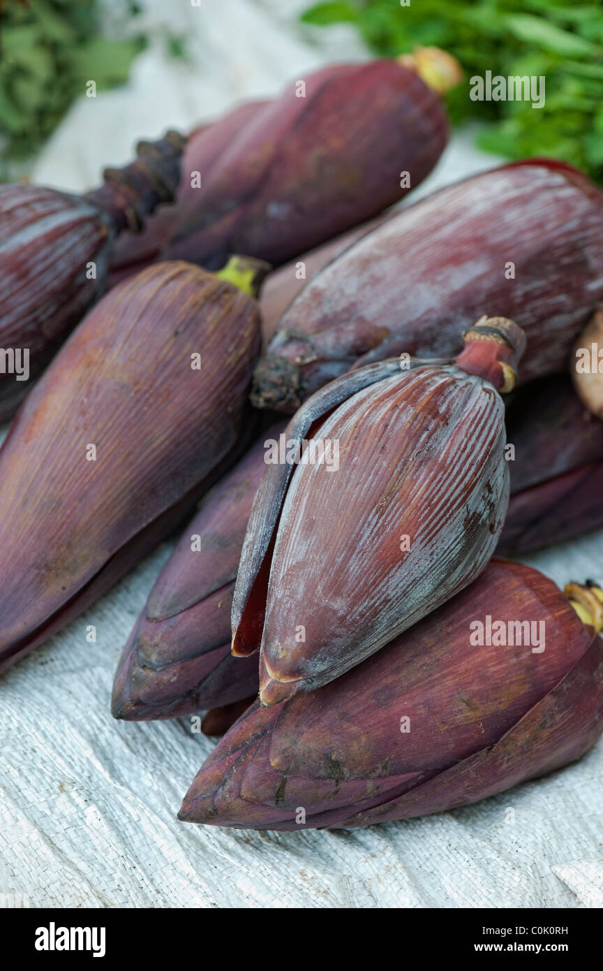 Edible banana flowers for sale at an indian market. Andhra Pradesh