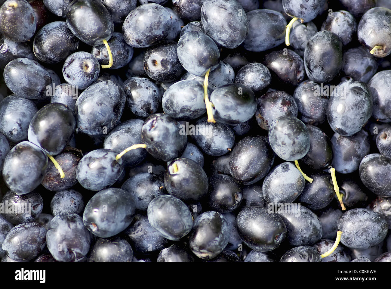 Black olives on hand Stock Photo Alamy